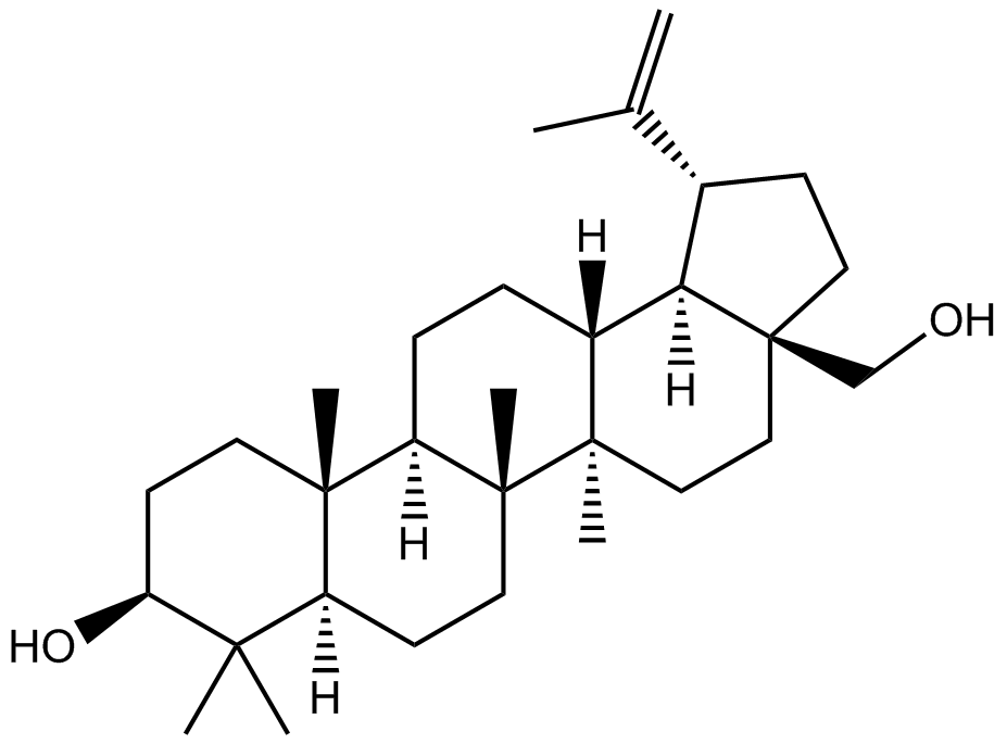 樺木腦，98%