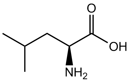 L-亮氨酸,99%
