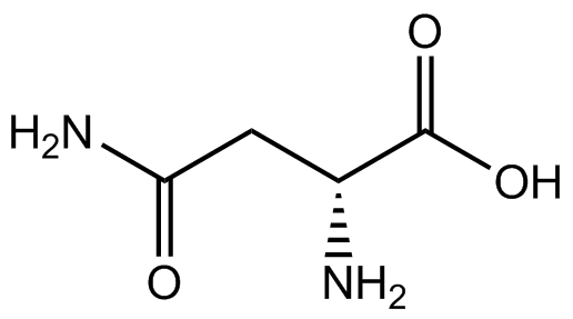 L-天冬酰胺(無水物）,99%