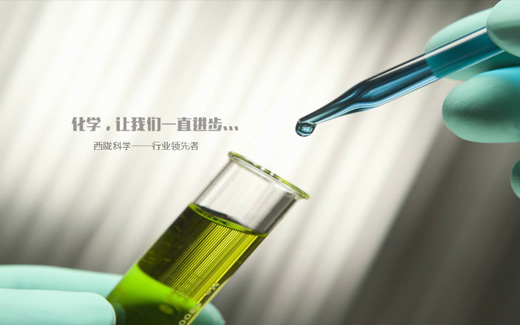 西隴集團成員——上海西隴生化科技有限公司精彩亮相BCEIA 2015